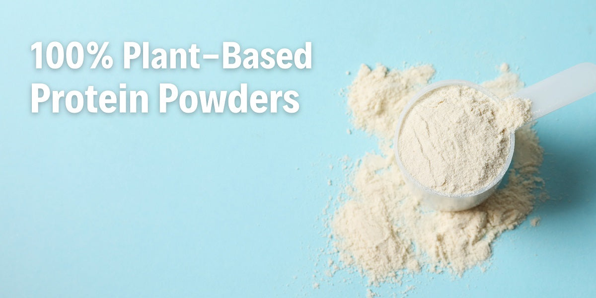 Beautiful view of Vegan Protein Powder For Gut Health And Wellness