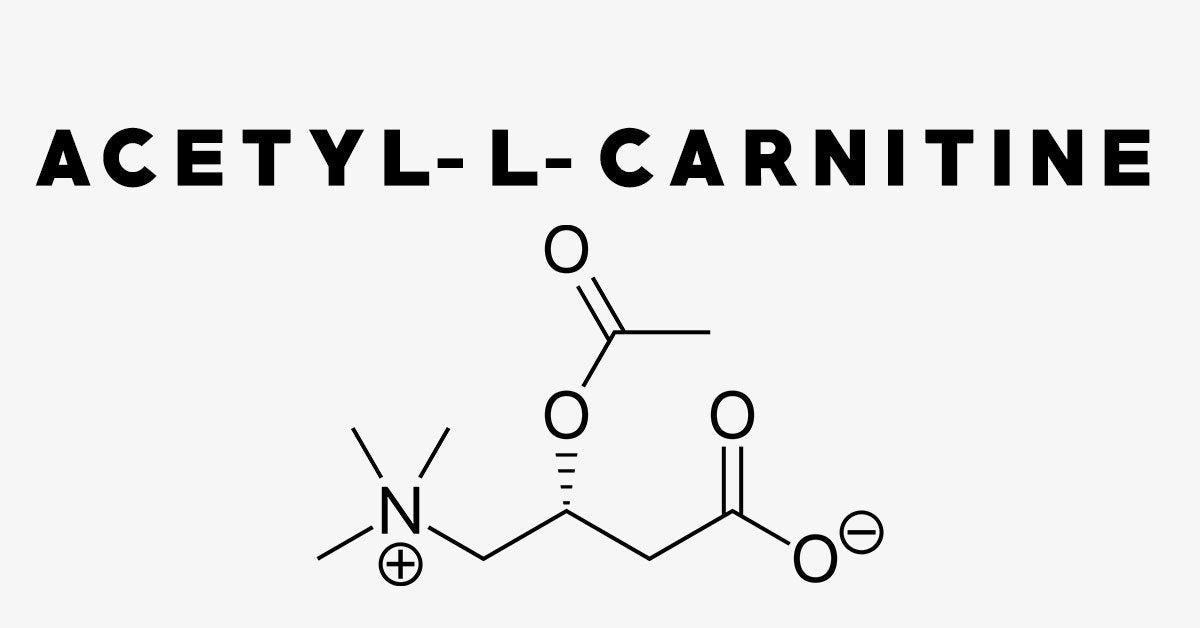 Acetyl-L-Carnitine: Your Ultimate 2025 Nootropic Guide HealthyHey Acetyl-L-Carnitine: Your Ultimate 2025 Nootropic Guide HealthyHey