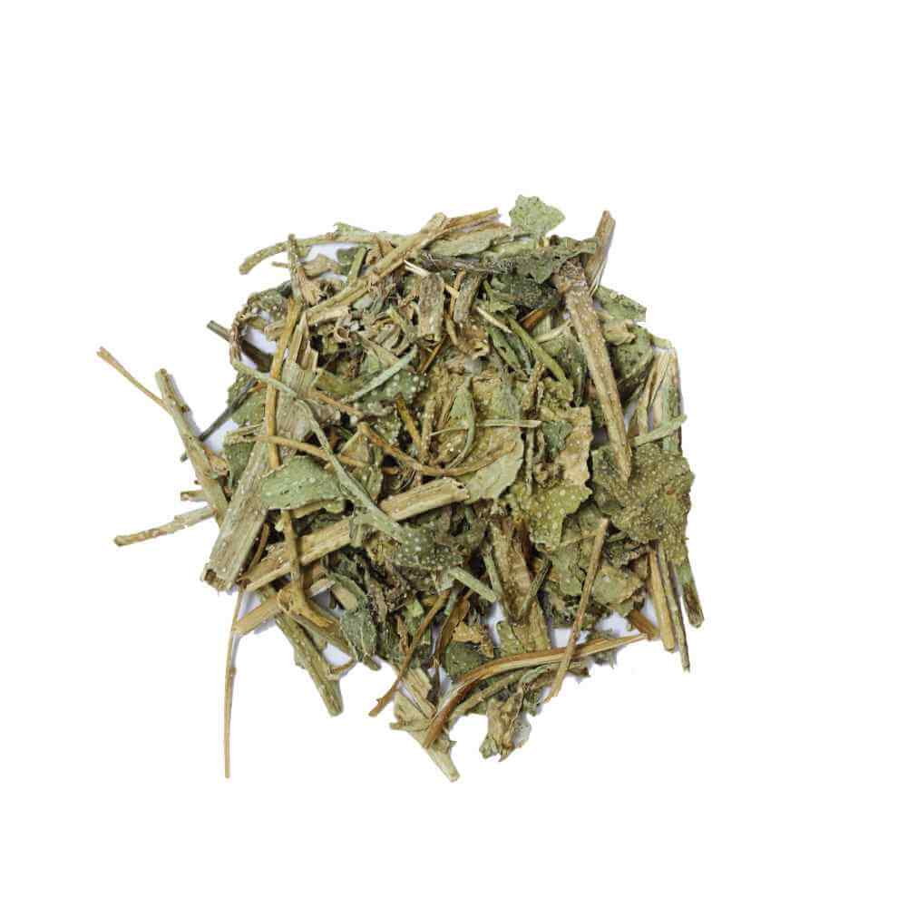 Unlock Cognitive & Immune Power with Gaozaban Leaf Extract: Your Guide to Better Well-being in 2025