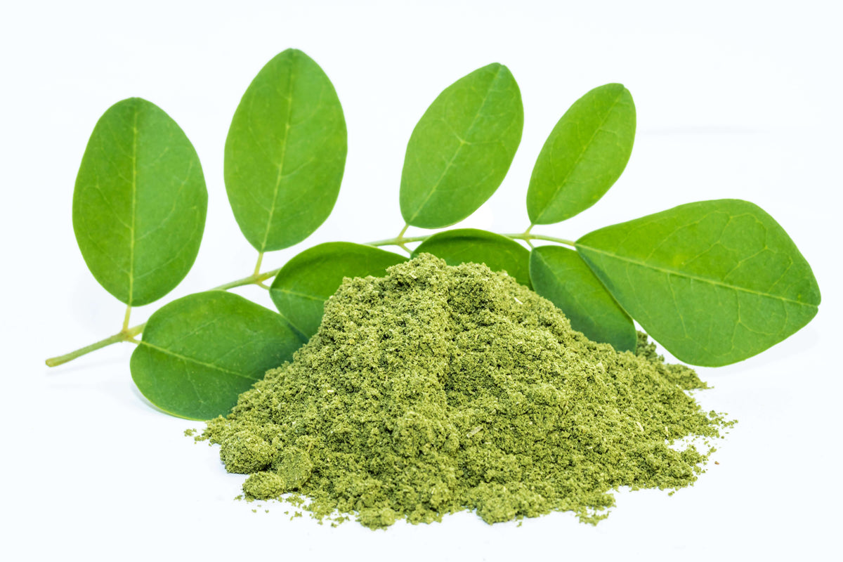 Moringa 2025: Unlocking Nature’s Superfood