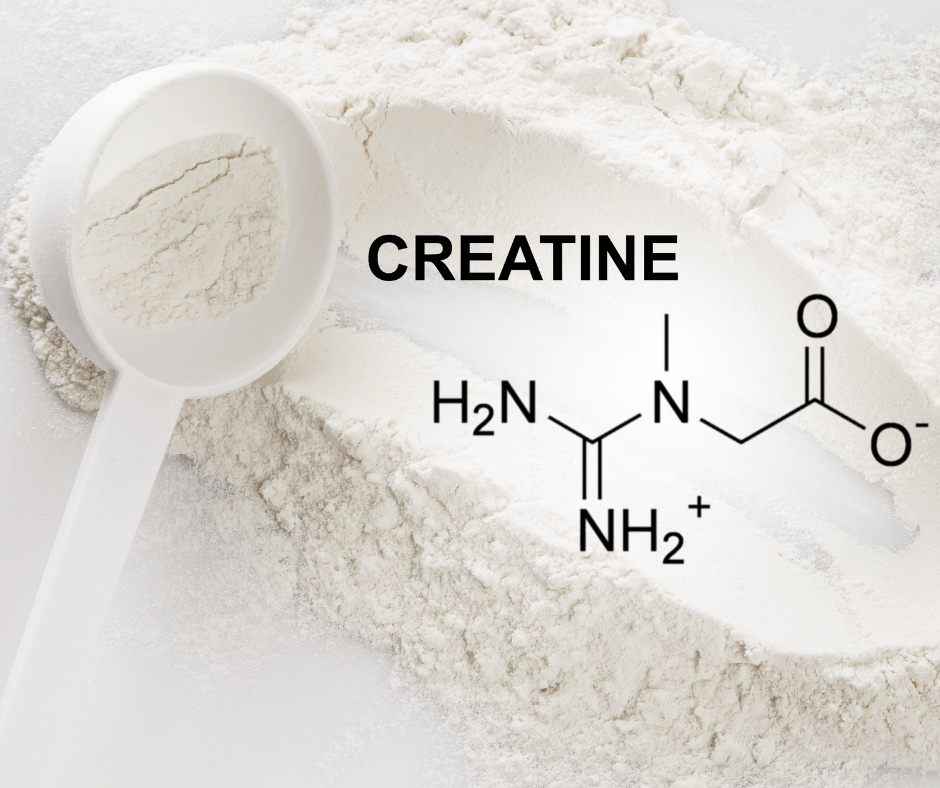 Maximize Your Fitness Gains: A Deep Dive into Creatine Monohydrate and its Benefits