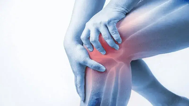 JointRelief Collagen Peptide Type 1, 2 & 3: Your Comprehensive Guide to Joint Health in 2025