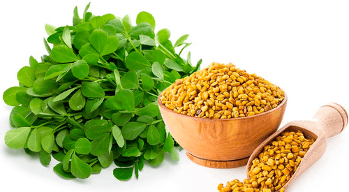 Fenugreek Seed Extract: Your Comprehensive Guide to Supporting Healthy Glucose Levels in 2025