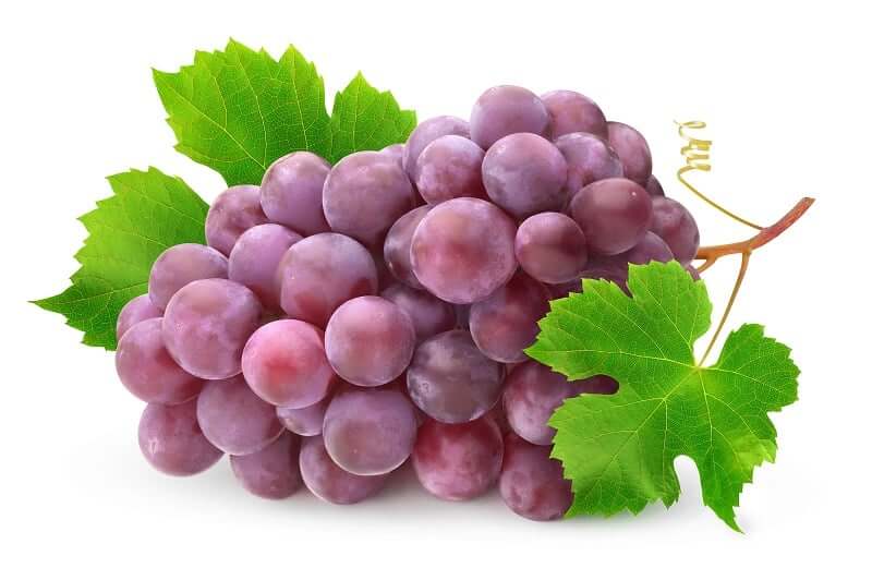 Grape Seed Extract: Your Comprehensive Guide to This Powerful Antioxidant in 2025