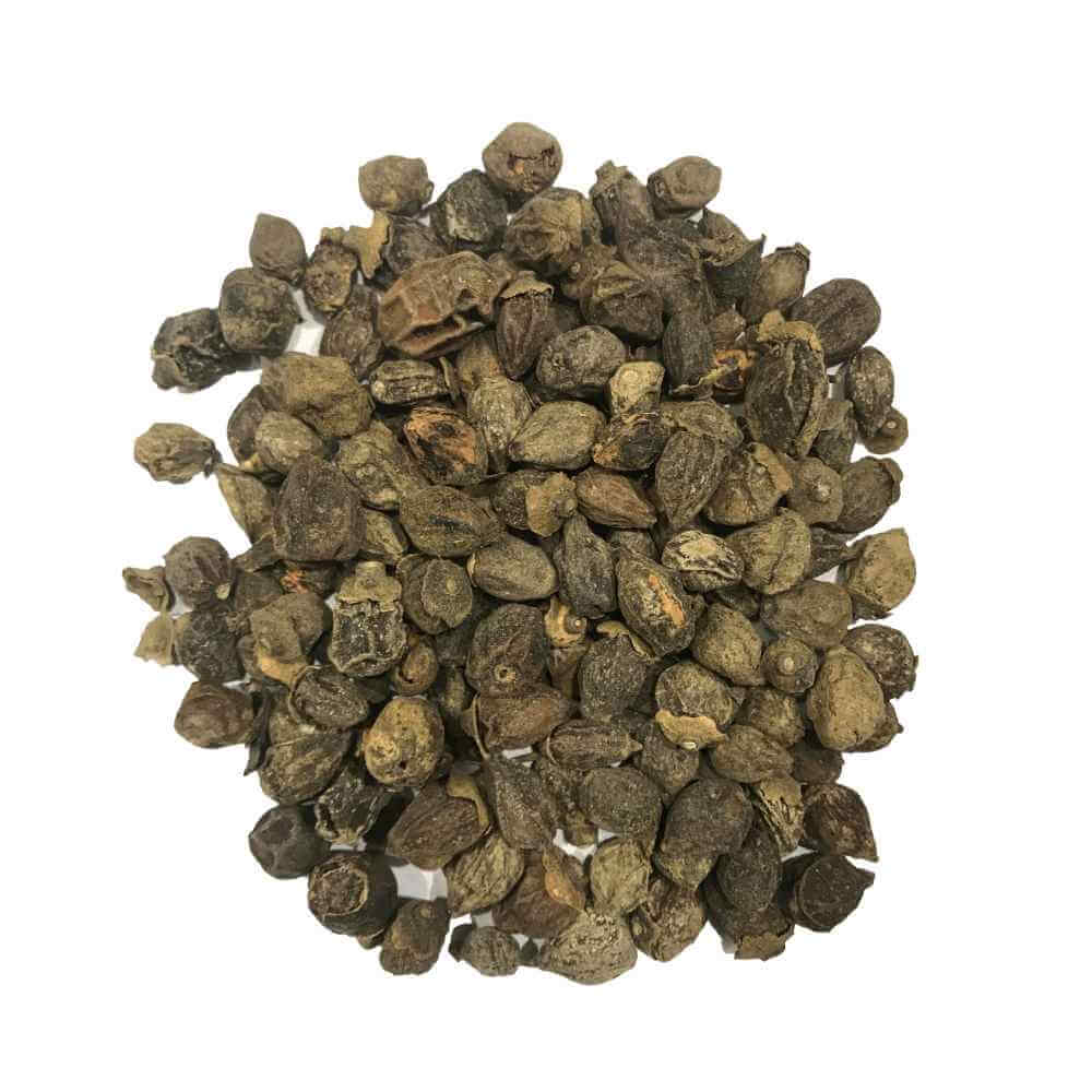 Boost Your Immune and Digestive Health with Sapistan Dry Extract