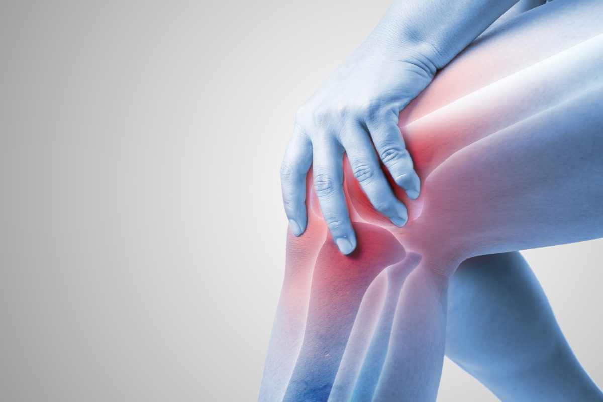 Boswellia Serrata for Joint Comfort: A Comprehensive Guide to Natural Joint Support