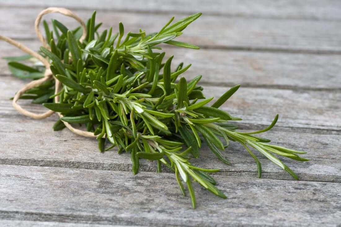 Unlock Your Potential: The Informative Power of Rosemary Leaf Extract for Enhanced Well-being in 2026