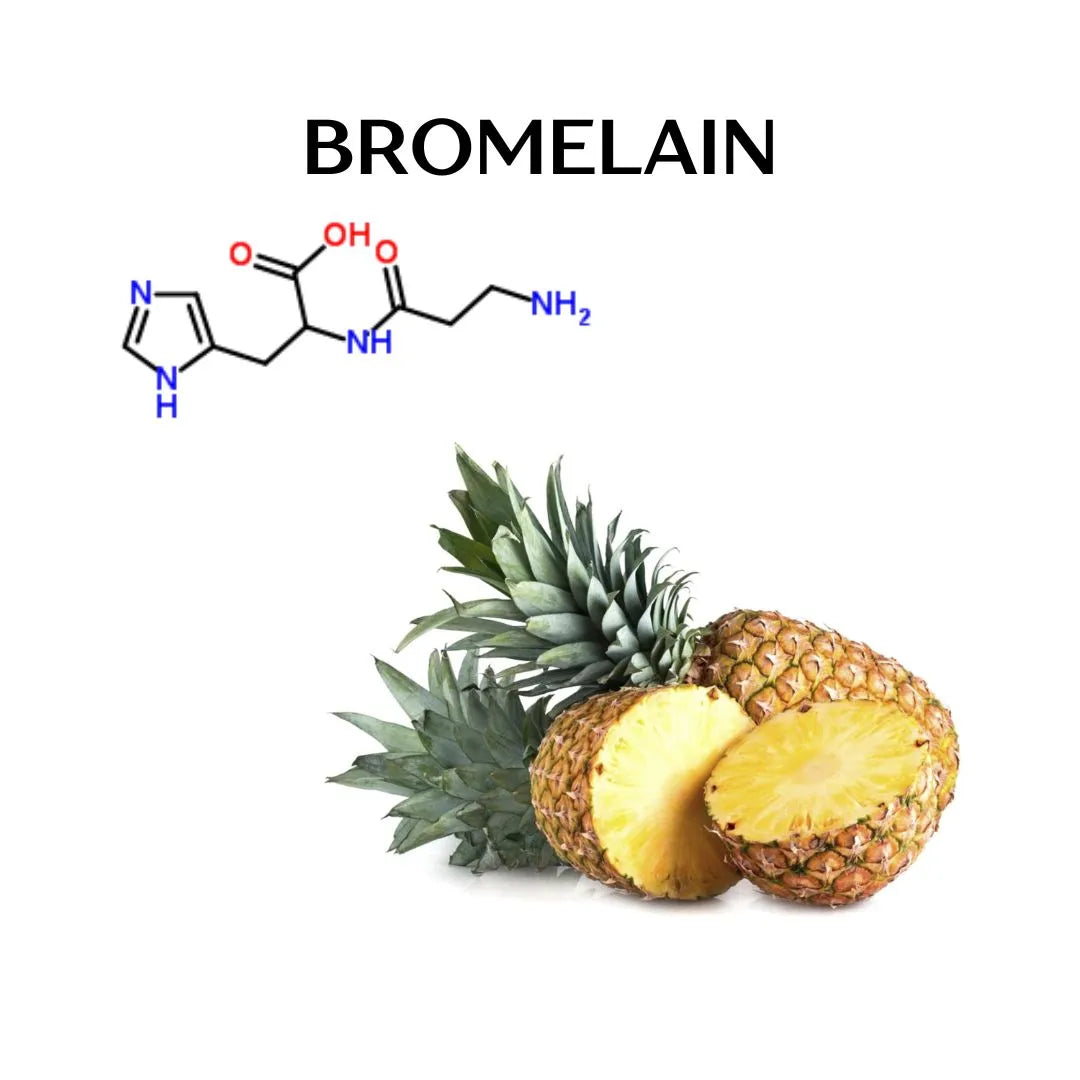 Unlock Your Wellness Potential with Pineapple Bromelain Digestive Enzyme: A Comprehensive Guide