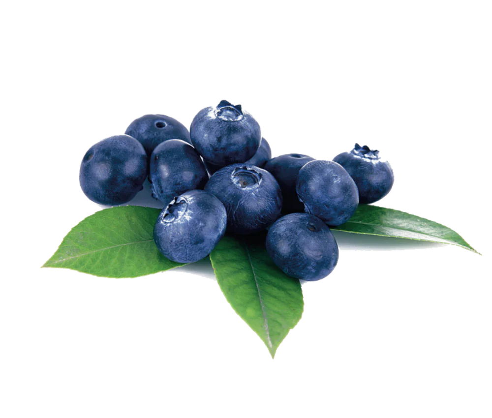 The Comprehensive Guide to Natural Bilberry Extract for Enhanced Vision and Cognitive Health in 2025
