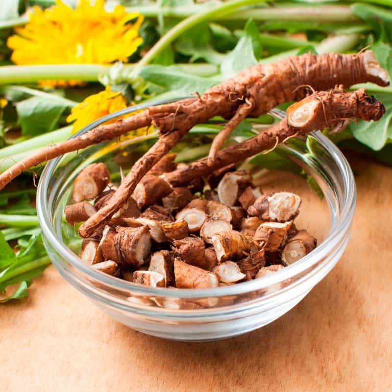 Dandelion Root Extract: Unlock Nature's Pharmacy for Enhanced Wellness in 2025