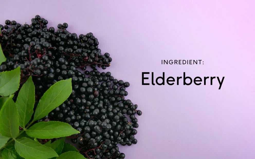 Harnessing Nature's Powerhouse: An In-depth Look at Natural Elderberry Fruit Extract for Enhanced Well-being in 2026