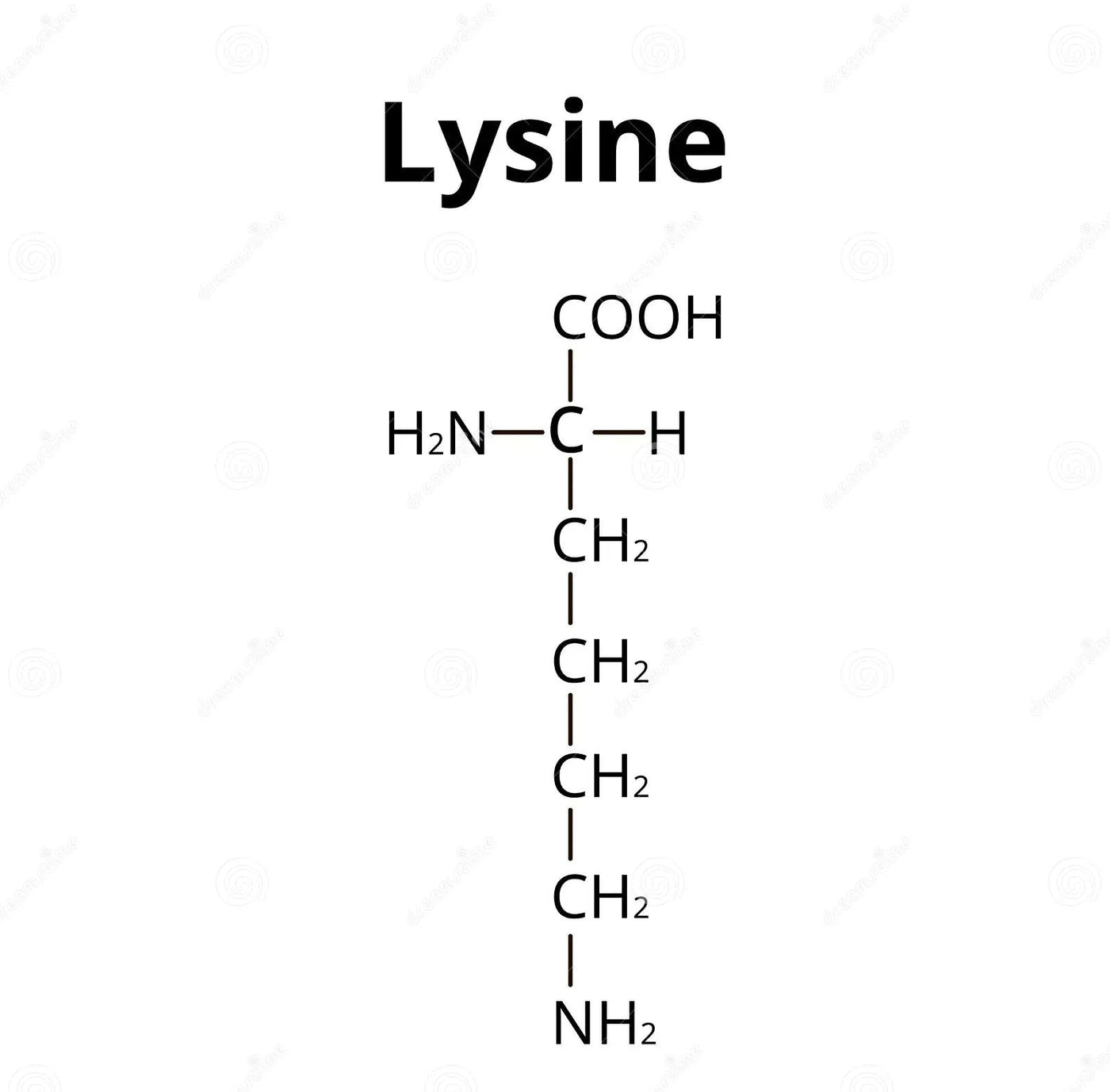 The Undeniable Importance of L-Lysine: A Deep Dive into Enhanced Calcium Absorption and Overall Well-being