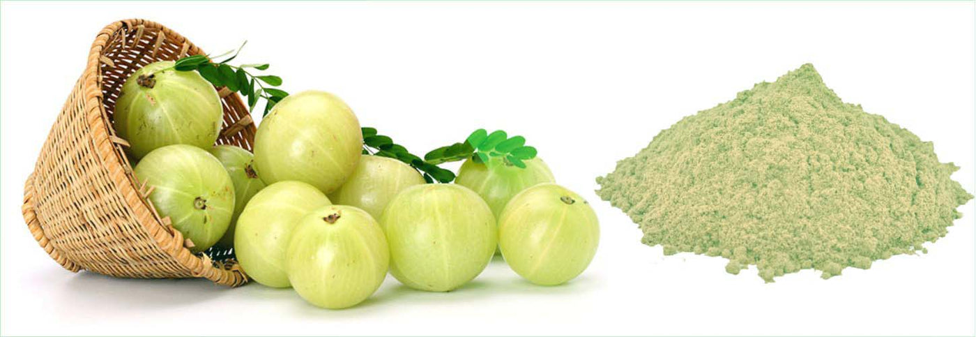 Unlock Your Health Potential: The Comprehensive Guide to Amla Extract in 2025 and Beyond