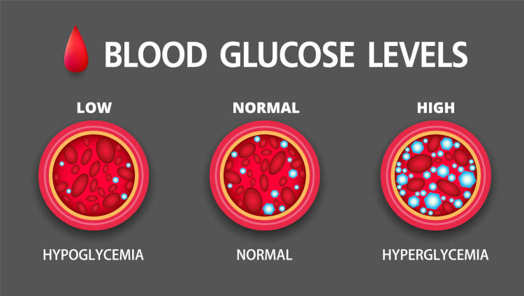 How Berberis with Milk Thistle Enhances Blood Glucose Health: A Scientific Approach