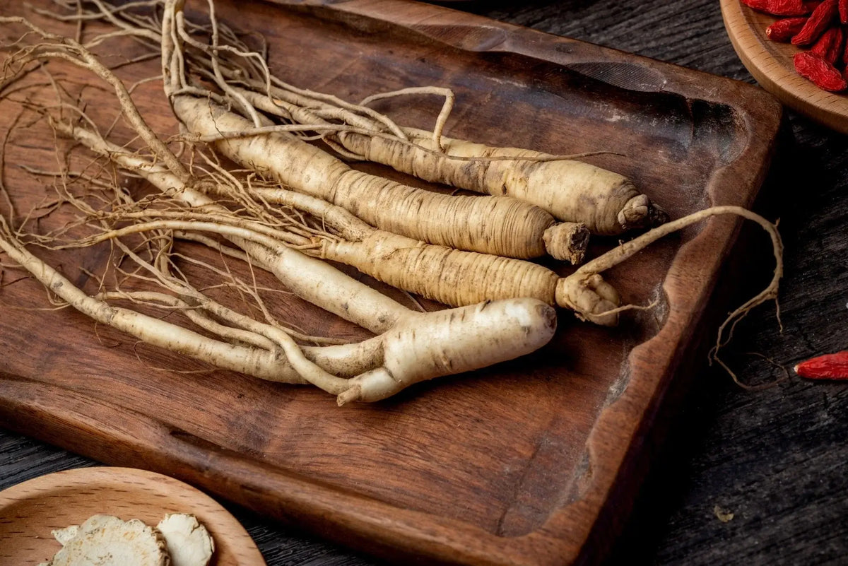 Unlocking Panax Ginseng: Your 2025 Guide to Its Benefits