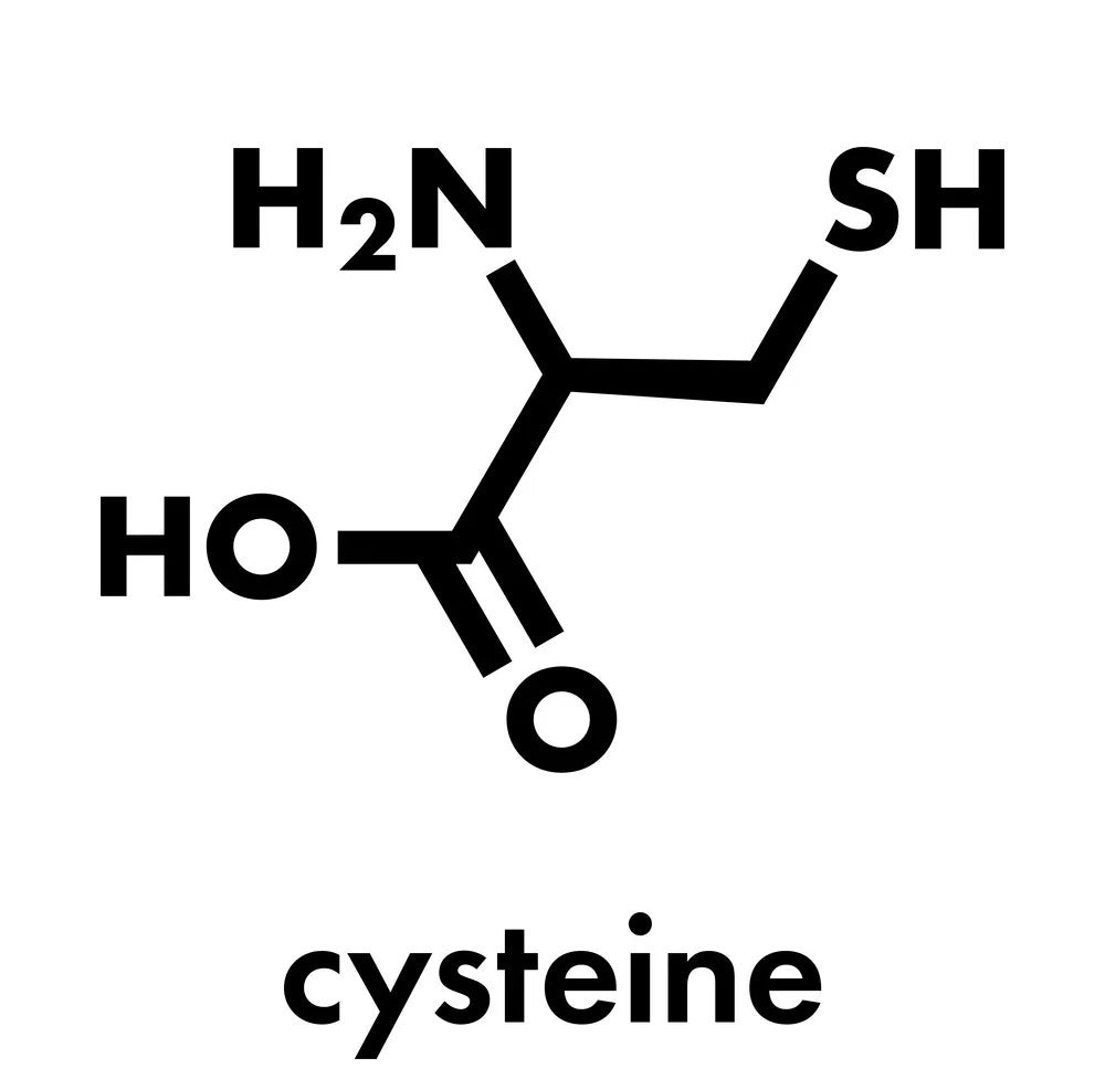 L-Cysteine: The Multifaceted Amino Acid for Enhanced Health and Vitality in 2025
