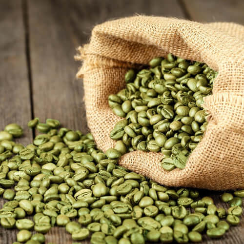 Unlock Your Wellness Potential with Green Coffee Bean Extract in 2026 - A Comprehensive Guide