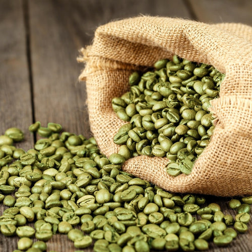 Unlock Your Wellness Potential with Green Coffee Bean Extract in 2026 - A Comprehensive Guide