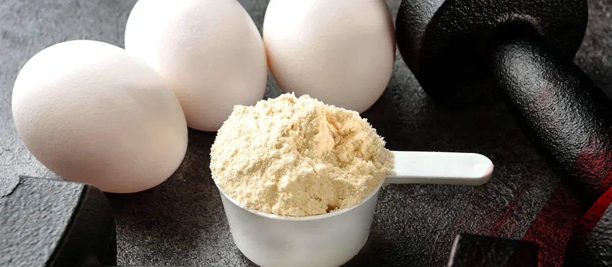 Unlocking Peak Performance: A Comprehensive Guide to Egg White Protein in 2025