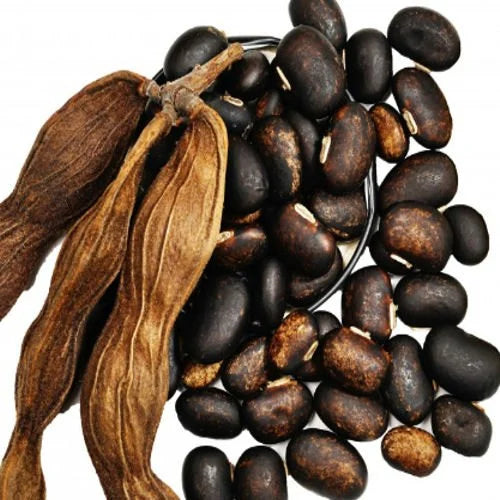 Unlock Your Potential: Understanding the Cognitive Benefits of Mucuna Pruriens Extract