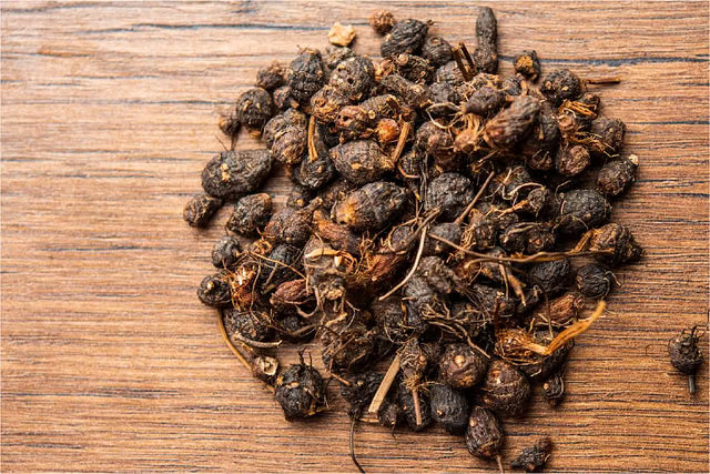 Nagarmotha Dry Extract: Unlocking Ancient Wisdom for Modern Wellness in 2026 - A Comprehensive Guide