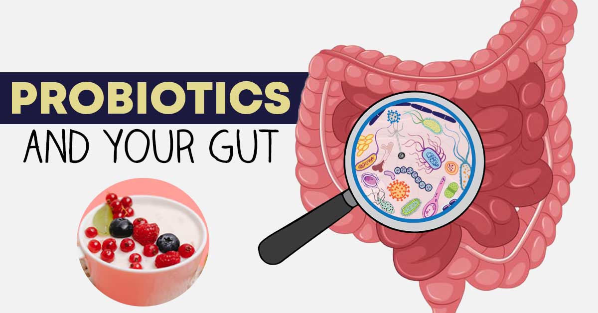 Probiotics 50 Billion CFU: The Ultimate Guide to Gut Health 2025 – HealthyHey Nutrition