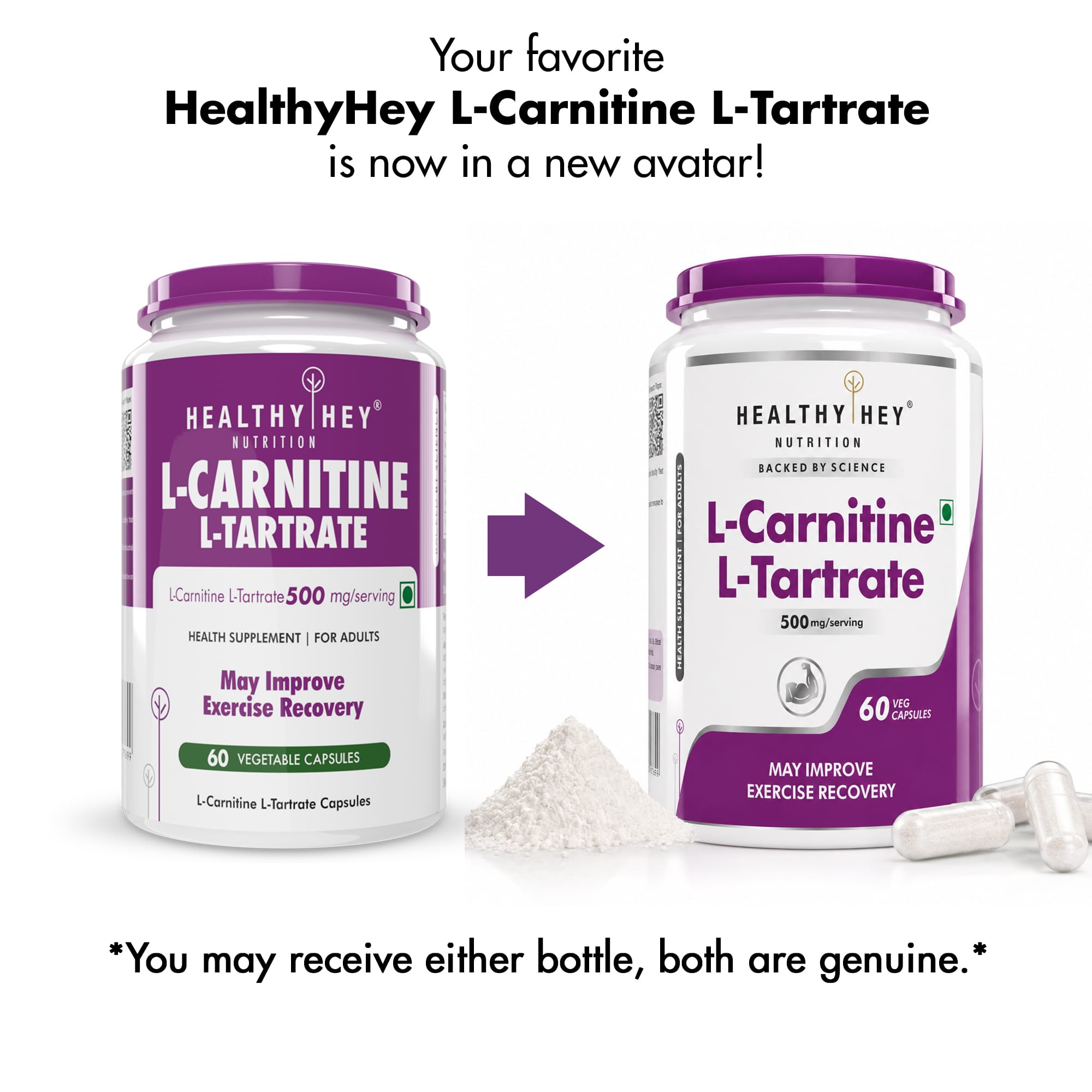 HealthyHey Nutrition Capsule 60 Count (Pack of 1) L-Carnitine & L-Tartrate (LCLT), May Improve Exercise recovery-Support Transport of Fats to Muscles - 60 Veg Capsules