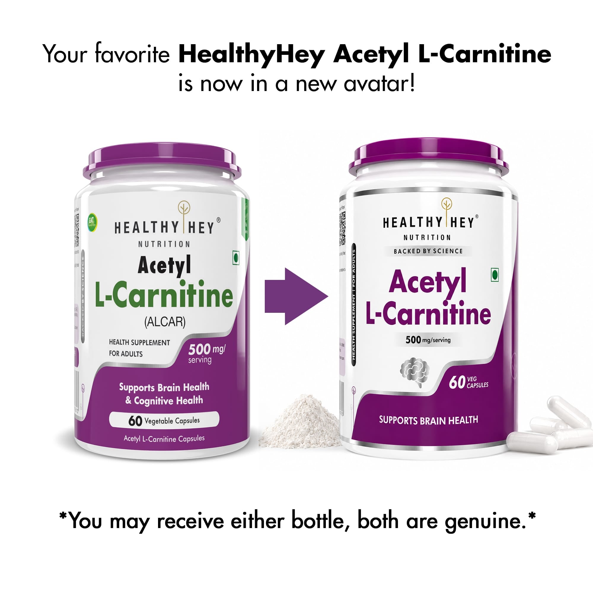 HealthyHey Nutrition Capsule Acetyl L-Carnitine (ALCAR)- Support Brain & Cognitive Health - 60 Veg Capsules