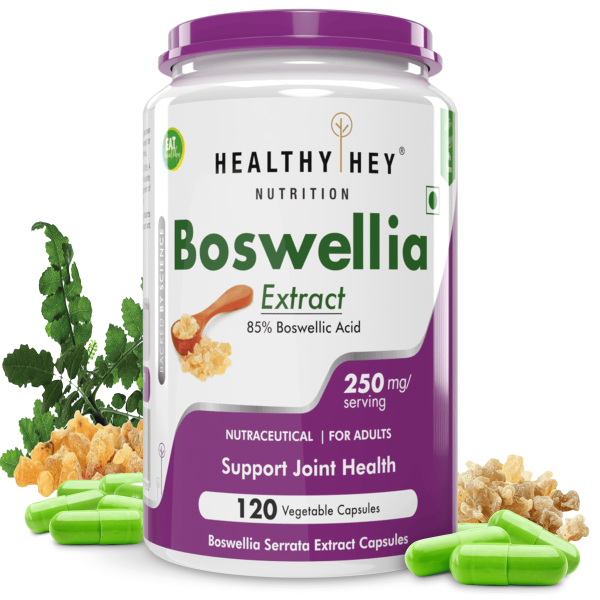 HealthyHey Nutrition Capsule Boswellia Serrata Extract, Support Joint Health -120 Veg Capsules
