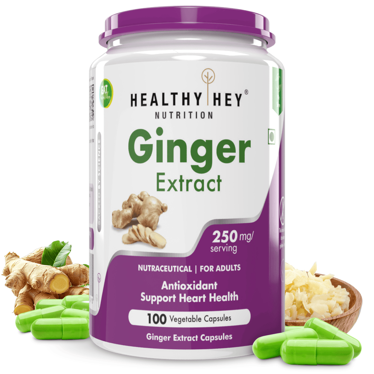 HealthyHey Nutrition Capsule Ginger Extract, Antioxidant & support Immune Health 5% Gingerols -100 Veg Capsules