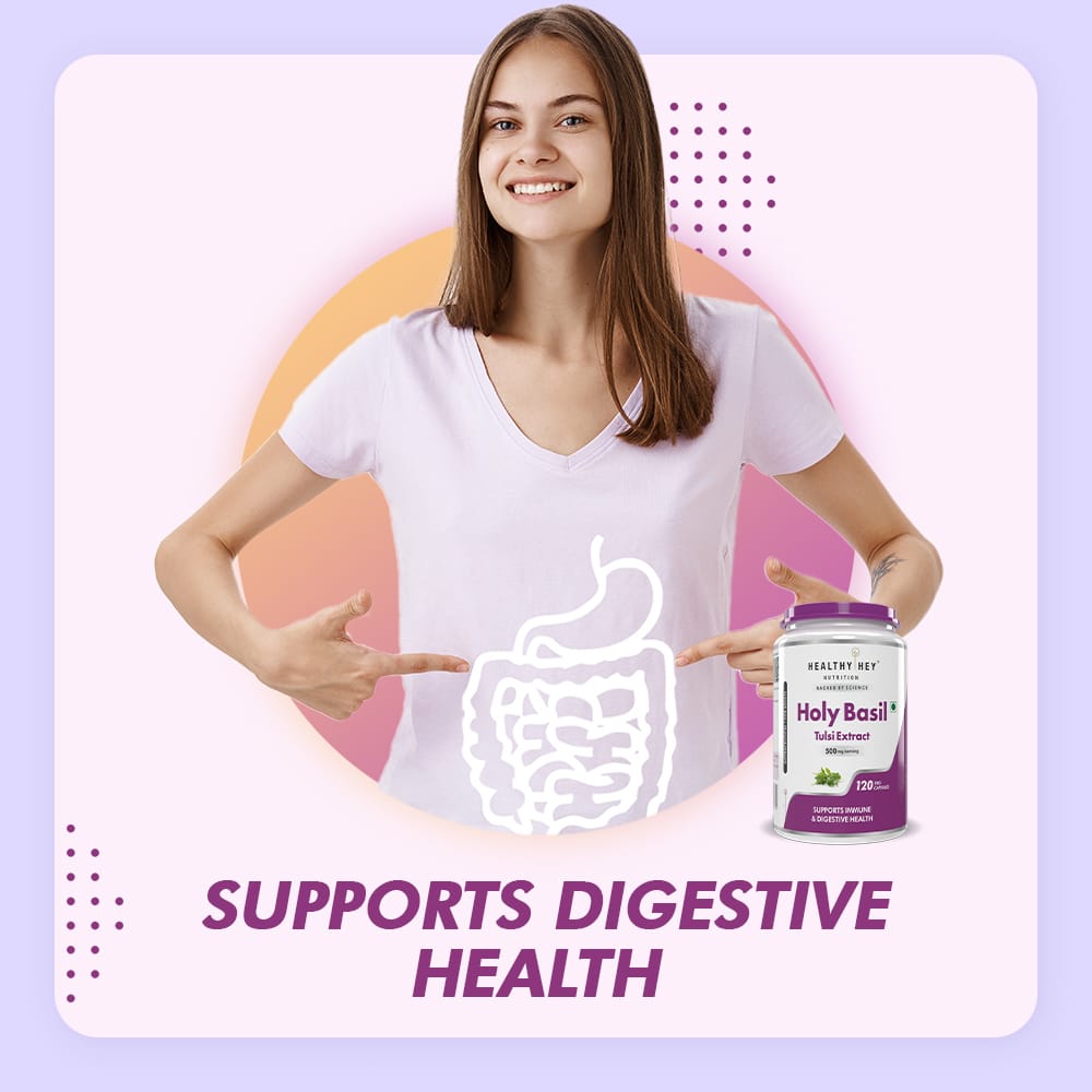 HealthyHey Nutrition Capsule Pack of 1 Tulsi Extract, Supports Immune & Digestive Health (Holy Basil Extract) - Supports Stress and Immune System - 120 Veg Capsules