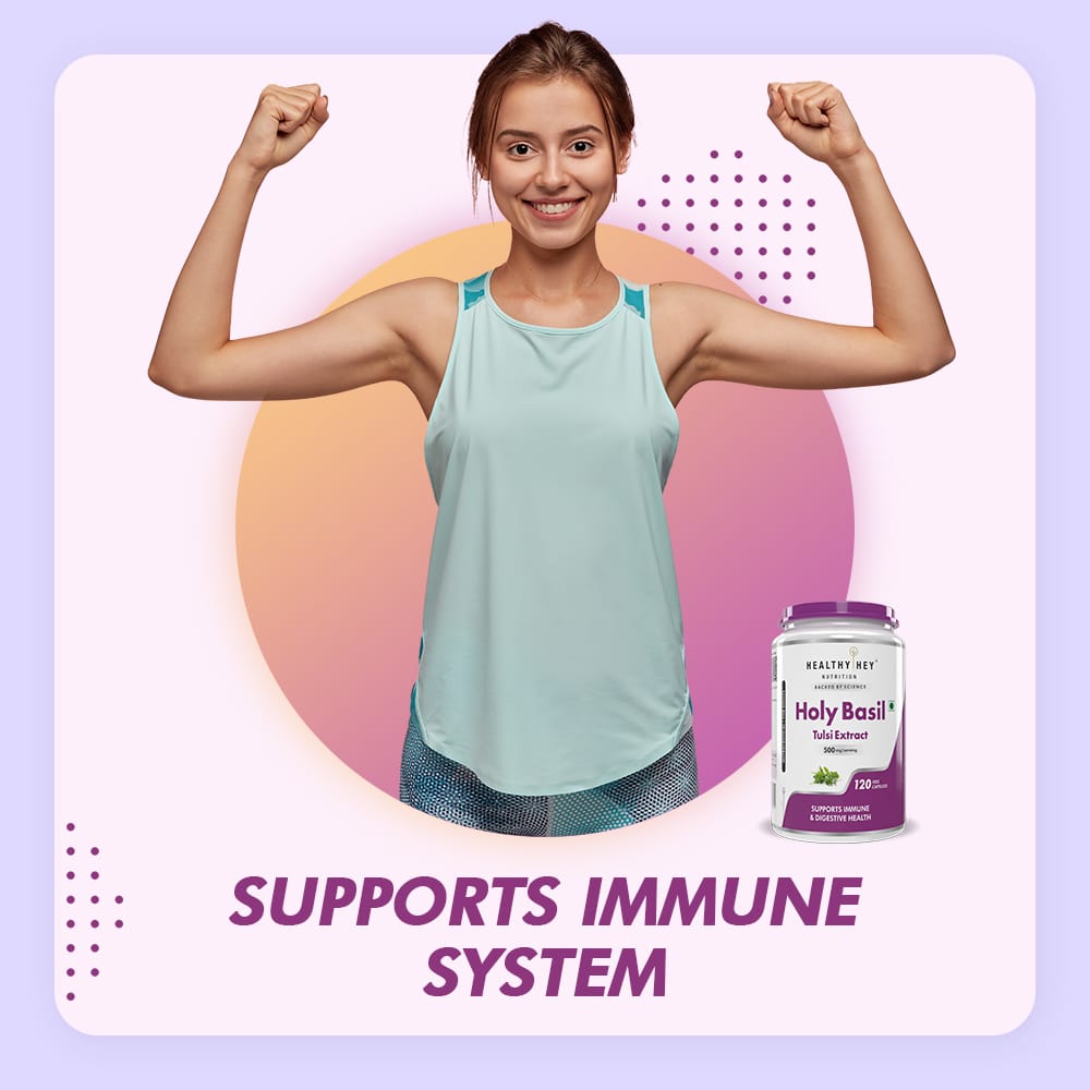 HealthyHey Nutrition Capsule Pack of 1 Tulsi Extract, Supports Immune & Digestive Health (Holy Basil Extract) - Supports Stress and Immune System - 120 Veg Capsules