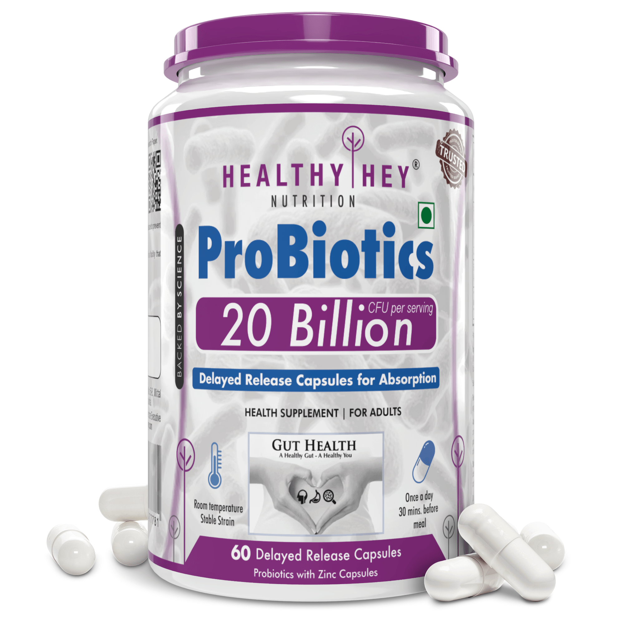 HealthyHey Nutrition Capsule Probiotic Supplement: 20 Billion CFU, Delayed-Release Capsules, Temperature Stable - Improve Gut, Digestion, and Immune Health (60 Veg. Capsules)
