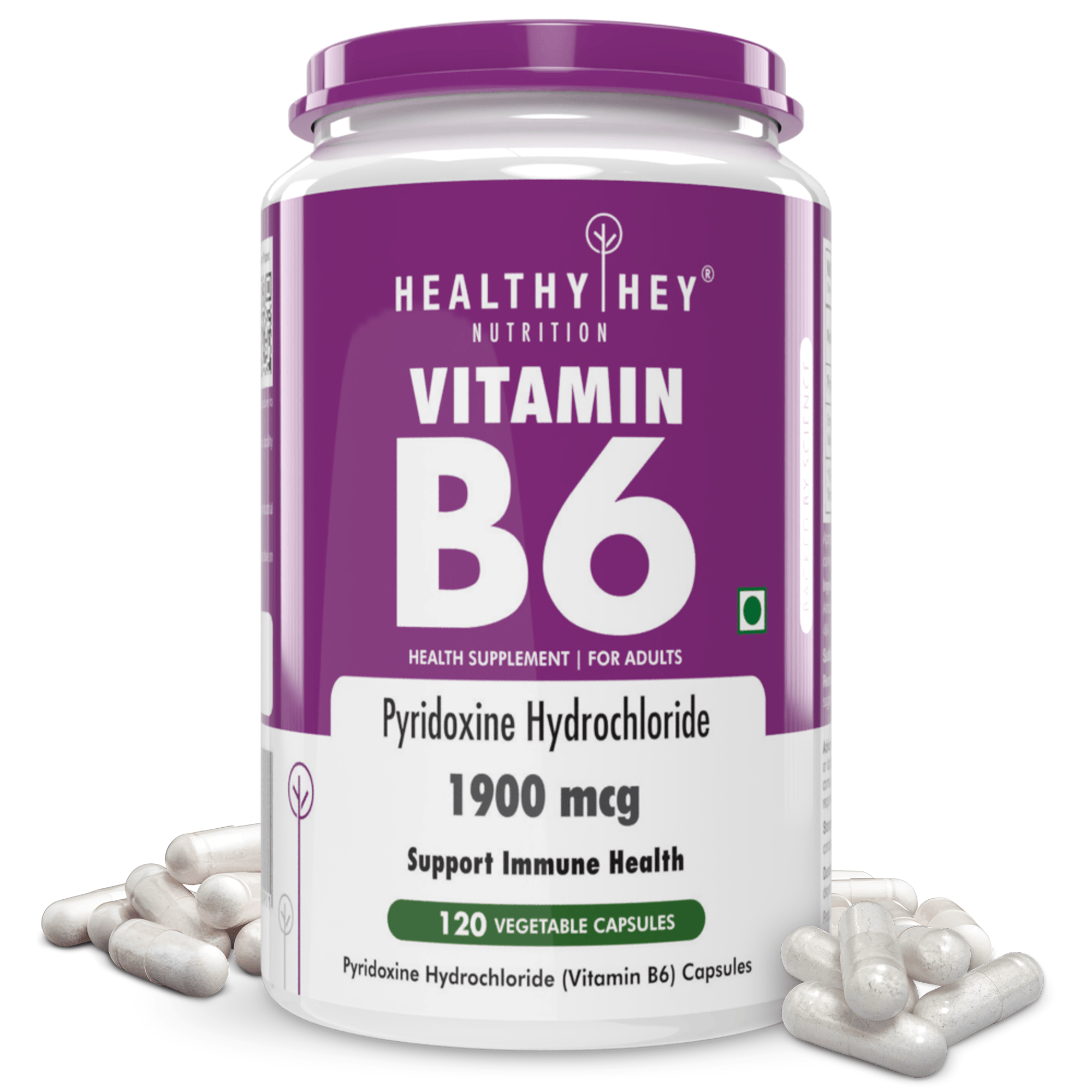 HealthyHey Nutrition Capsule Vitamin B6,Support Immune Health - 120 Veg. Capsules
