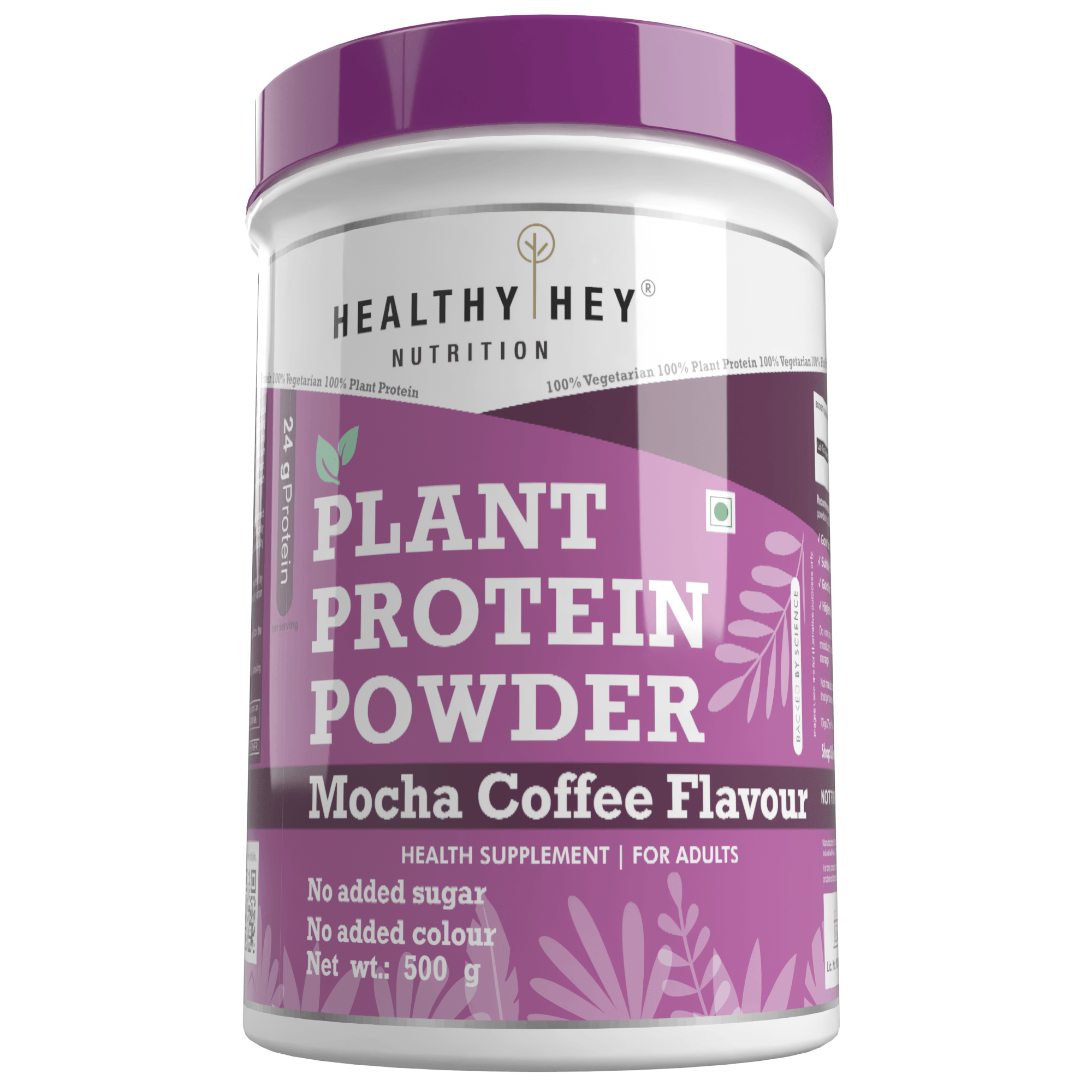 HealthyHey Nutrition Powder Mocha Coffee / 500 g (Pack of 1) Plant Protein Powder, Protein - Low Net Carbs, Non Dairy, Gluten Free, Lactose Free, No Sugar Added, Soy Free, Non-GMO