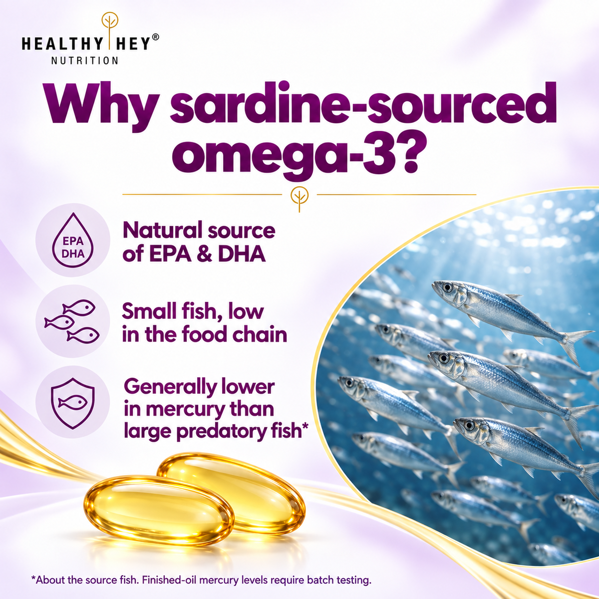 HealthyHey Omega 3 fish oil 60 softgels gallery image 04